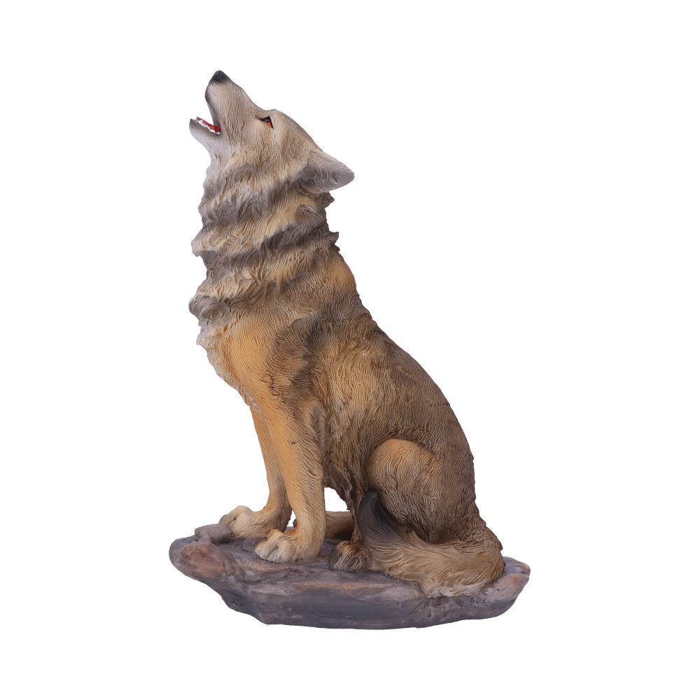 This enchanting wolf figurine will bring the wild into any home. Sitting on a rocky outcrop, this imposing grey wolf stares to the sky with fierce orange eyes while calling their pack. Their stare betrays a preternatural intelligence and wisdom, signalling that this is no ordinary wolf. Cast in top-quality resin before being lovingly hand-painted, this figure is perfect for anyone who feels at one with the wild.