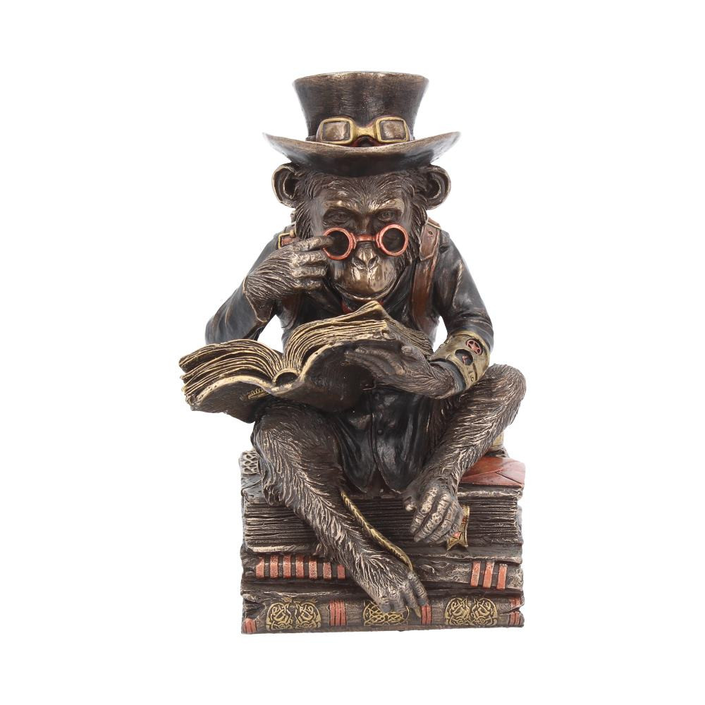 From alternative brand Nemesis Now, this thought provoking figure is cast in top quality resin before being lovingly finished in Bronze. Sitting on a pile of aged books, this personified chimpanzee studies an archaic text. He wears a blazer jacket and has a steampunk jet pack attached to his back by leather straps. On his head sits a top hat and the bridge of his nose is home to a pair of glasses. By his side there is a letter and small jar of ink, ready for him to start writing about his adventures, using the quill which is grasped in his left foot.