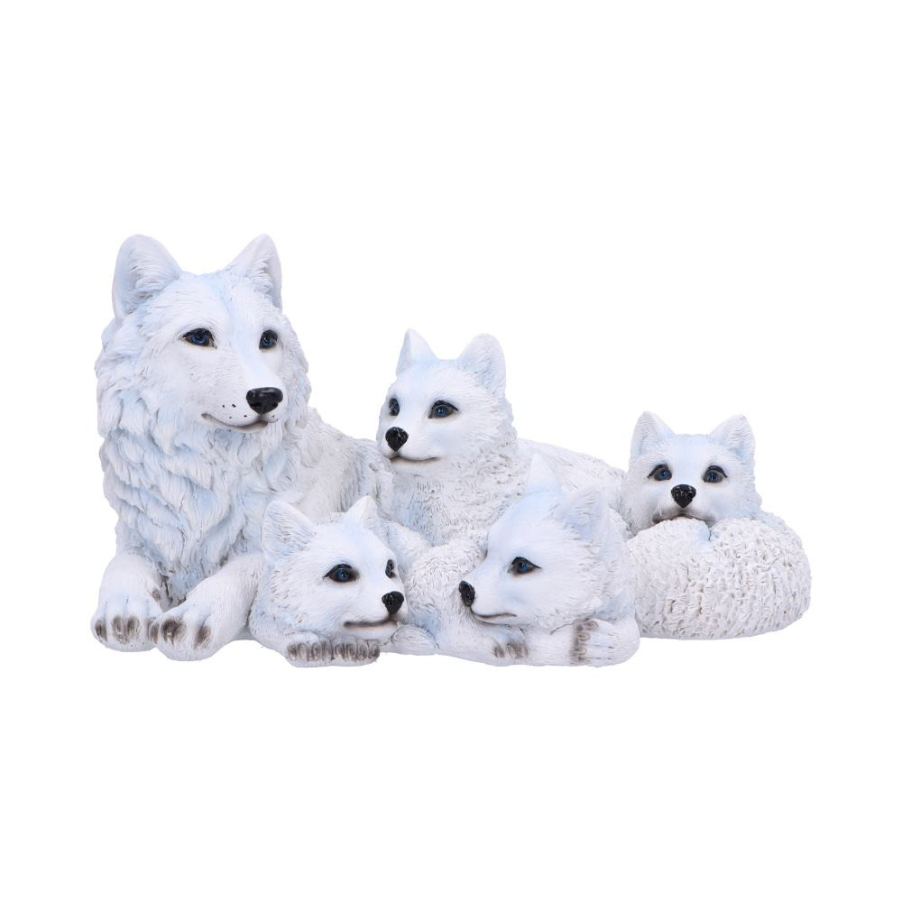 Experience the tender bond of family in the captivating Pups Protection Figure from Nemesis Now's value collection. This enchanting figure portrays four adorable wolf pups, nestled in the protective embrace of their watchful mother after a day of spirited play. The family, painted in a pristine white hue with striking blue eyes, emanates a heartwarming charm that resonates with animal lovers. Meticulously crafted from the finest resin and hand-painted. Ideal for those who appreciate the beauty of wildlife, the Pups Protection Figure is part of our diverse range of wolf-themed giftware. Whether your customers are collectors or seeking a touching gift, this piece adds a touch of natural elegance to any setting, appealing to those who cherish the captivating allure of wolves.