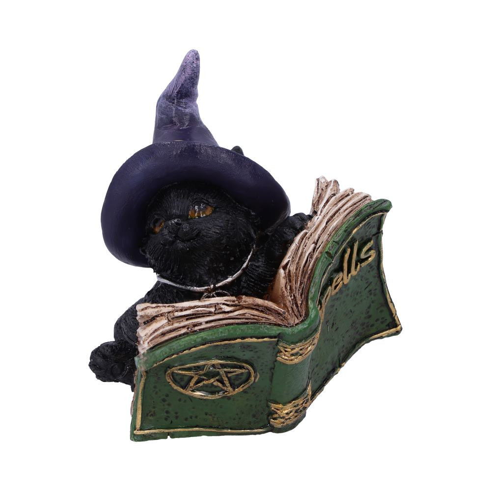 Feeling playful whilst emerging from behind the emerald spell book, is this Kitty’s Grimoire figurine. Cast in high-quality resin before being hand-painted, this Kitty’s Grimoire figurine would make the perfect addition to any witchcraft collection.