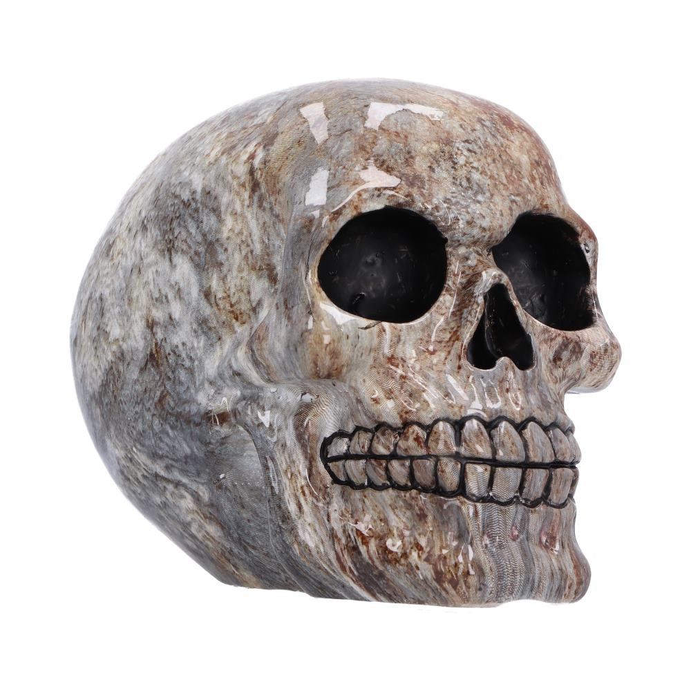 Marble Remains is an originally designed skull ornament from Nemesis Now, cast in resin and finished with a polished marble effect to create a unique gothic display piece. Featuring intricate skull detailing, a dark and murky colour palette inspired by themes of remains and decay, and a distinctive marble finish, this striking ornament is full of atmospheric character. Packaged in a branded gift box, it is perfect for gifting or displaying. Ideal for gothic decor lovers, skull collectors, and fans of alternative accessories, Marble Remains is a captivating piece that will add a dark and distinctive touch to any collection.