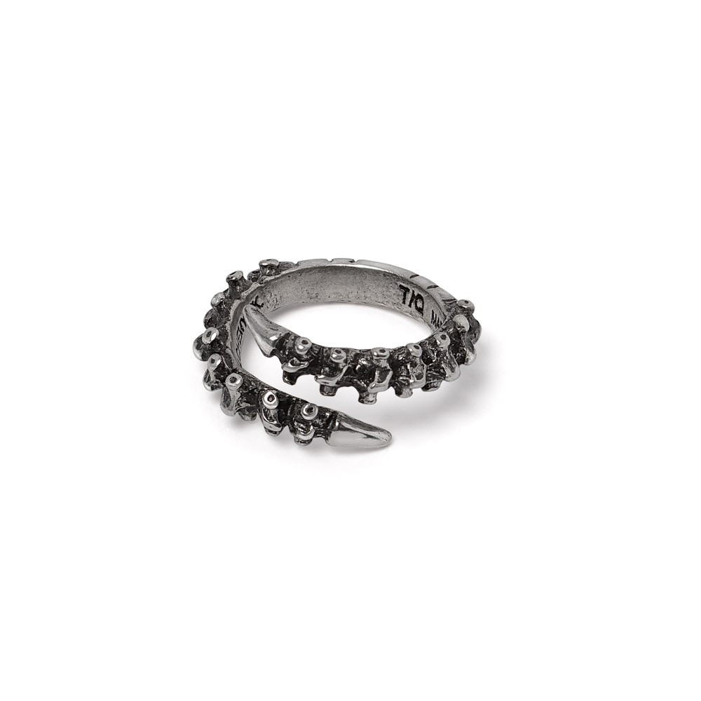 Symbolising strength and determination, in a distinctly gothic style.