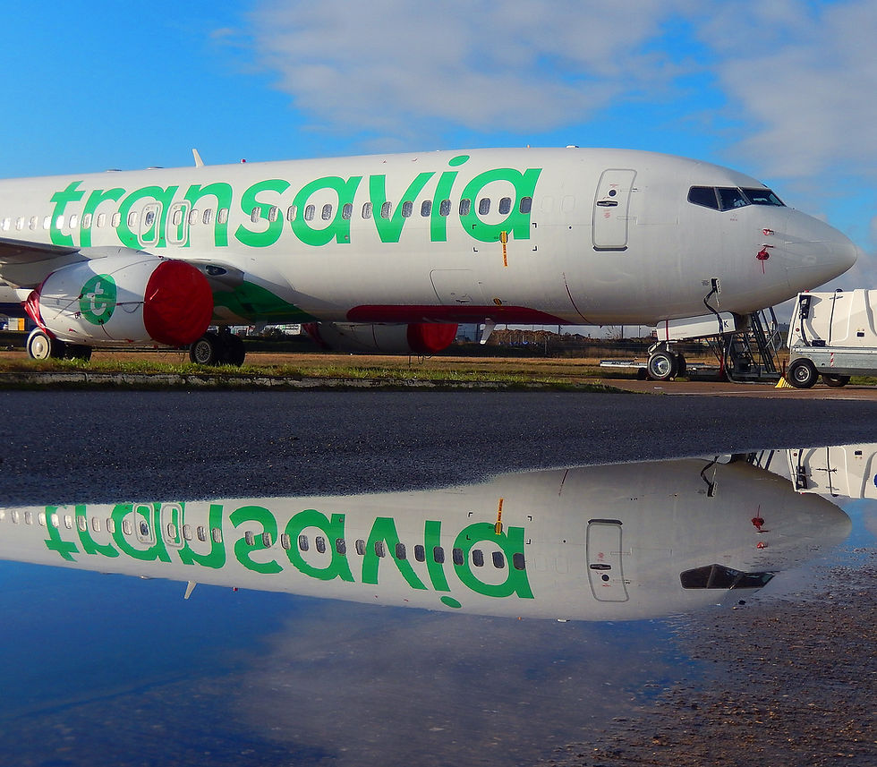 miroir miroir suis je le plus beau ? Un boieng 737 de Transavia se reflète dans une flaque d'eau _ Christian Laugier