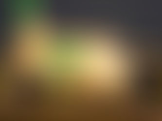 Transavia à Toulon :Plus de 120 000 passagers transportés cet été