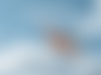 SkyUp Airlines la compagnie ukrainienne qui résiste