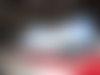 Delta transporte les athlètes de l'équipe olympique américaine à Beijing pour les jeux d'hiver 2022.