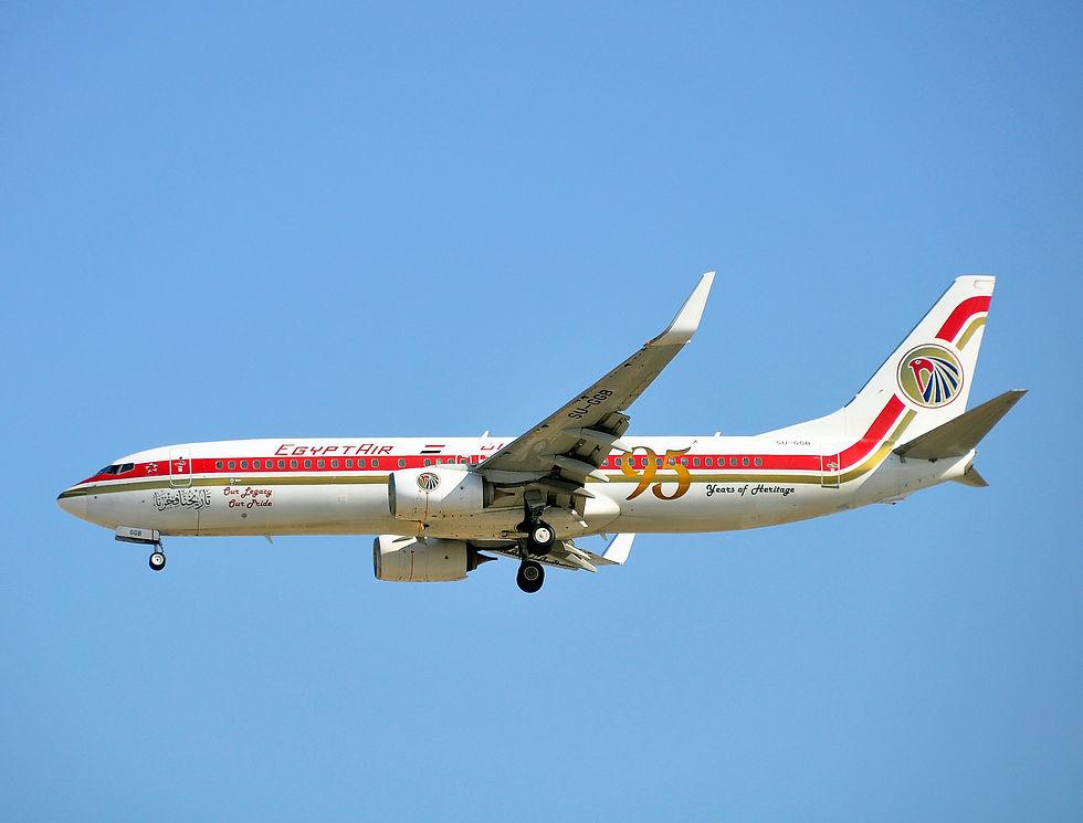 EgyptAir a dévoilé en mai 2026 une livrée rétro sur un Boeing 737-800 (immatriculé SU-GGB) pour célébrer son 95e anniversaire