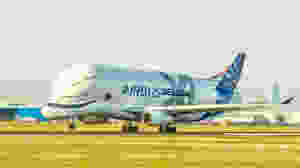 Airbus Beluga XL F-WBXL at Hawarden Airport