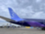 Lavender Livery of Riyadh Air at the Paris Air Show