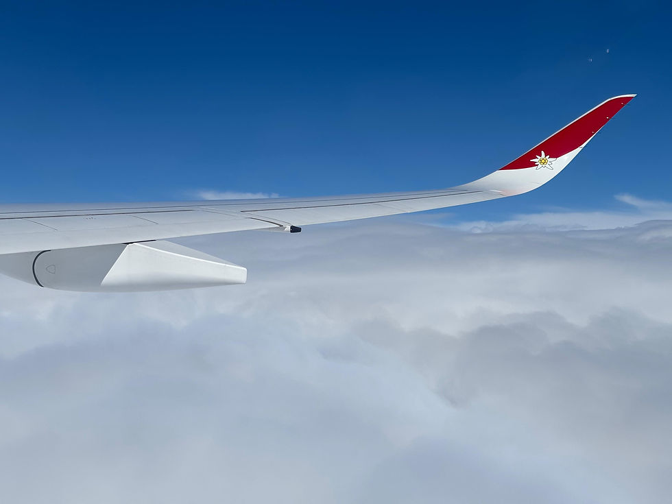 Le winglet est orné d'un Edelweiss, le logo de la compagnie / gate7