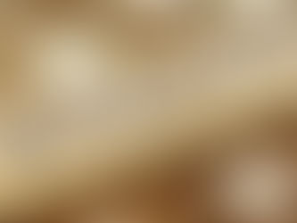 Creating Your Nonprofit Budget