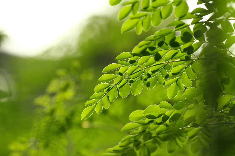 AdobeStock_91517824.jpeg