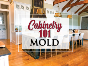 CABINETRY 101: MOLD