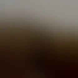 싱어송라이터 박혜리, 데뷔 20주년 베스트 앨범 – 뮤닛 AI 마스터링과 함께하다