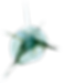 SeekPng.com_cracked-png_925368.png