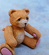 Orange_brown Bear pink pads