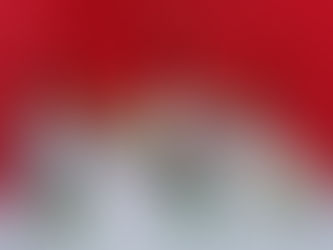 Портеплюмы - забытые чернильные принадлежности, которые вместе с чернильницами некогда украшали письменный стол!