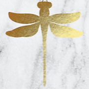 Logo de Fig accesorios