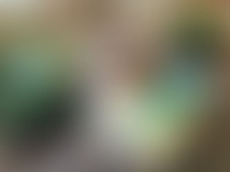 February's Riverton Community Market