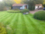 Landscaping 1 (4).jpg