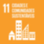 SDG-icon-PT-RGB-11-1