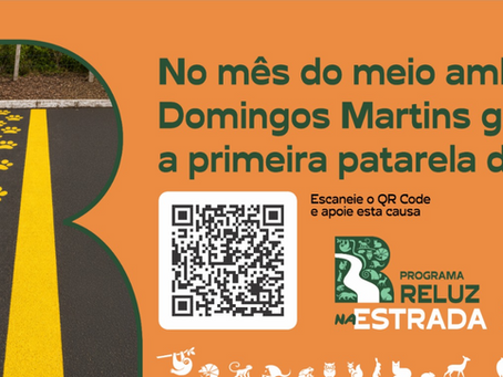 O Programa Reluz na Estrada pinta a primeira "Patarela" do Espírito Santo em Domingos Martins, Montanhas Capixabas.
