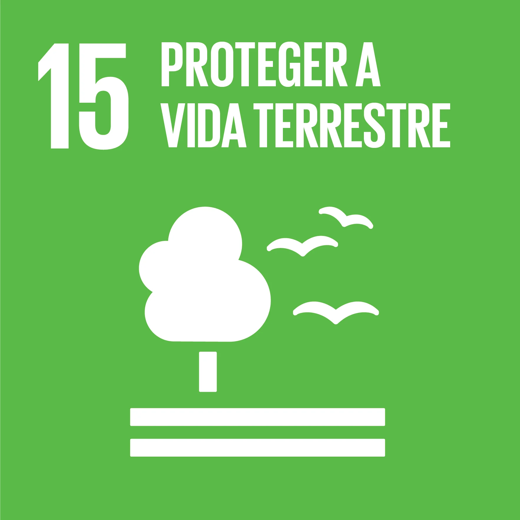 Objetivo_Desenvolvimento_Sustentável_15_PT.webp