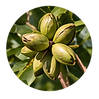 more_ sustainability.png