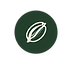 pecan circle icon