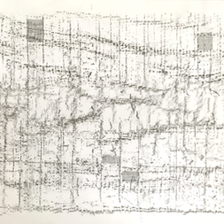 Sem título, 2016. desenho _ grafite e nanquim sobre papel. 59,4 x 42cm.png