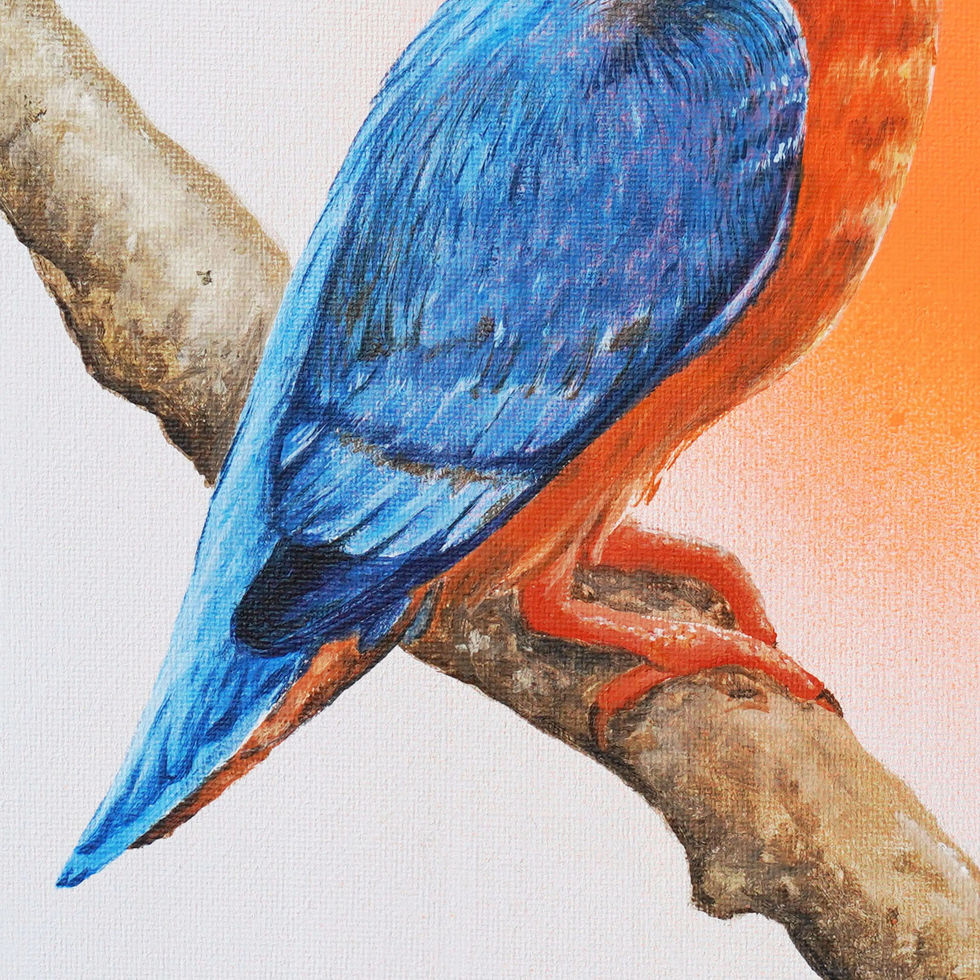 Eisvogel neon Ausschnitt Füße