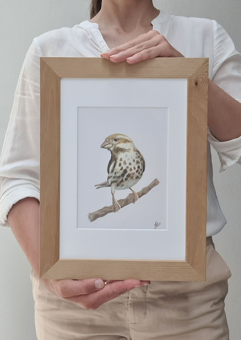 Spatz gezeichnet im Holtrahmen