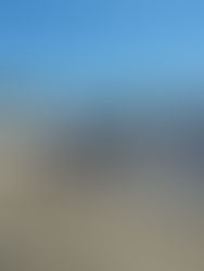 Urgente postura firme contra relleno sanitario por daños a tuxtlecos