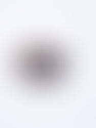 El fósil mas antiguo de perro en América apunta a cómo llegaron hasta allí