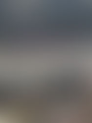 Manita de gato al Azteca