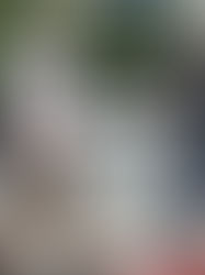 Chiapas, con menor población de la tercera edad