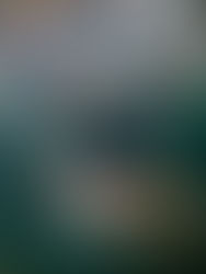 No importa el tipo de sangre: desarrollan «órganos universales» para trasplantes