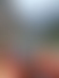 Sector empresarial y Sectur “tienen que jalar parejo”