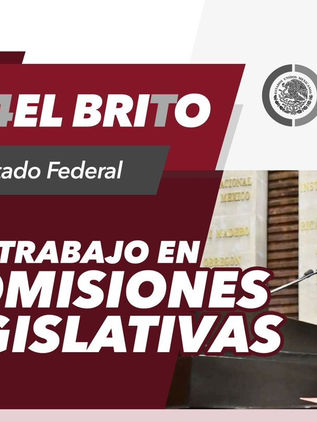 Brito forma parte de cuatro comisiones de la Cámara de Diputados 
