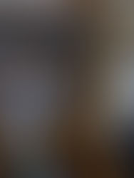 La comunidad internacional acusa a Putin de acabar con la vida de Alexei Navalni, opositor ruso