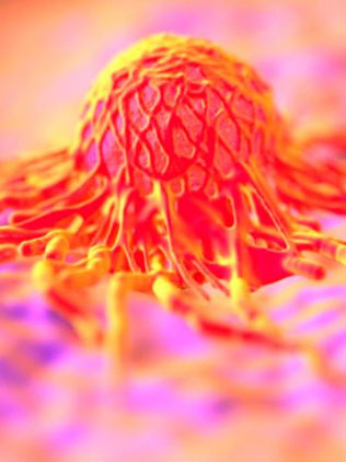 Vacuna experimental contra cáncer resulta positiva en animales