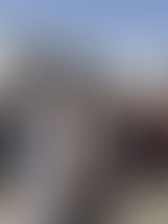 Los talibanes conquistan en una semana la mitad de las 34 provincias afganas