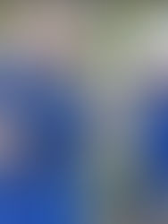 Funcionario de la SAGyP agrede a reporteros de Chiapas