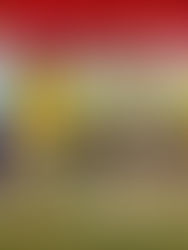 La Fiscalía pide mantener preso a Alves al que incrimina la prueba de ADN