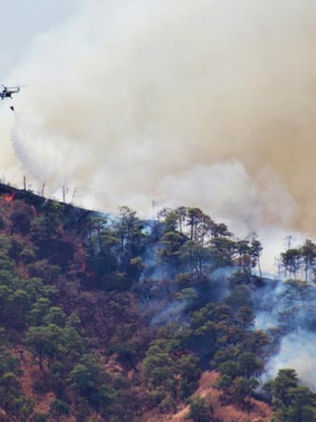 Reserva del Cañón del Sumidero, lacerada por incendios