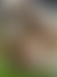 España desafía a Italia