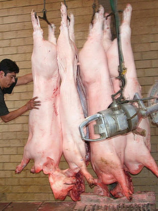 La industria cárnica invertirá más de 5.000 millones de dólares hasta 2030