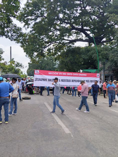 CNTE regresará en noviembre con paro de 48 horas