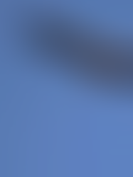 Reapareció el ave más poderosa de Latinoamérica tras estar décadas extintas