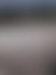 Plantas de tratamiento no responden a parámetros técnicos